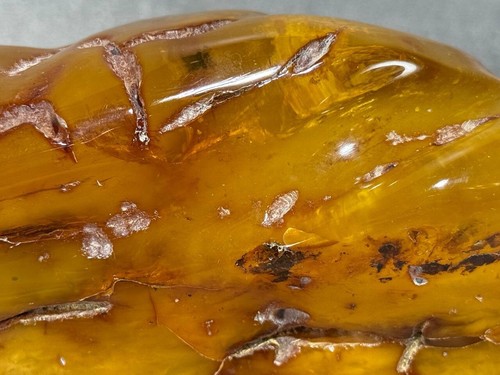 Natural amber, unprocessed, Baltic amber, large piece 895 grams. - Picture 15 of 24