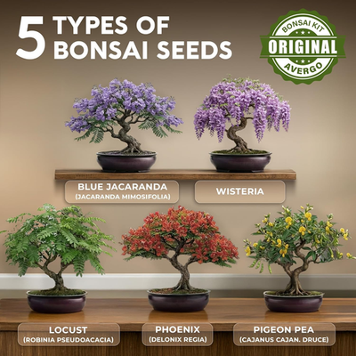 Beginner Bonsai Tree Kit - 5 Unique Japanese Trees with Tools