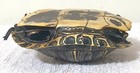 Real Turtle Shell Taxidermy Specimen Carapace Oddities Display 5.5" — photo 10