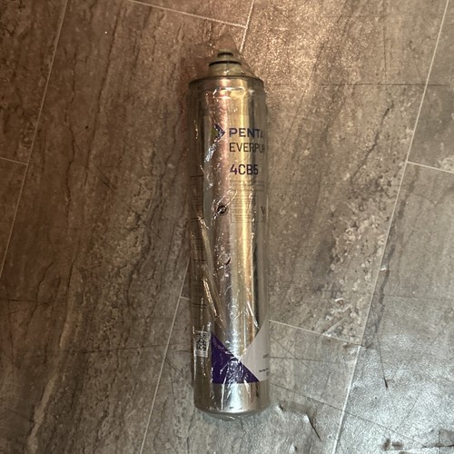 Everpure Ev9617-11 4Cb5 Cartridge 1 Each