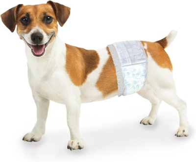 Four Paws Wee-Wee Super Absorbent 12 Count, X-Small/Small Male Wraps 