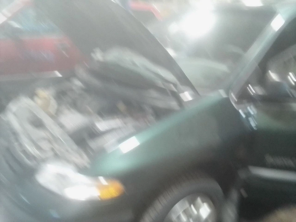 Puerta delantera derecha pasajero eléctrica para caravana 96-00 2035175 Foto 2 de 4