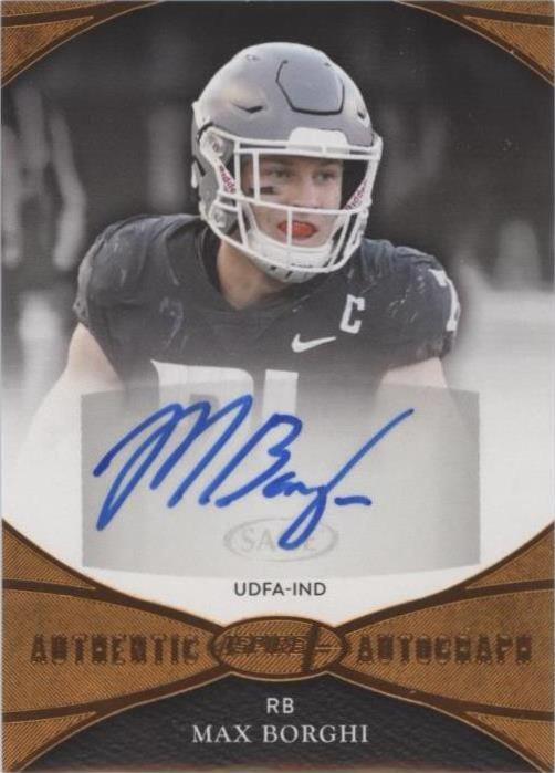 2022 Sage Aspire Max Borghi #ASP-MB - 1 of 2