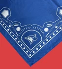 Toronto Blue Jays 20” Bandanna/Neckerchief