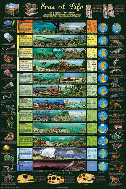 Science Chart