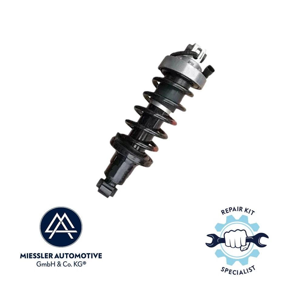 Audi R8 (Typ 42) Federbein mit Magnetic Ride, hinten links