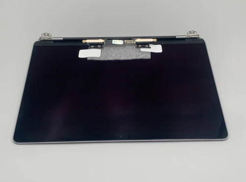 OEM Apple MacBook Pro 13" A1989/A2159/A2289/A2251 LCD Screen Assembly Gray Good