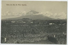 Pico Island Azores View of Island Antique Postcard