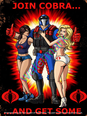 Join Cobra and Get Some  Metal Sign 9'' x 12'' or 12'' x 16''
