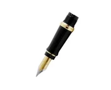 Waterman Expert  Fountain Pen Nib & Feed Fine Pt Gold Plated New