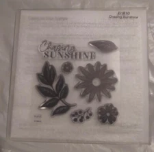 Close to my Heart CTMH - Chasing Sunshine Stamp Set - B1810 - NEW!