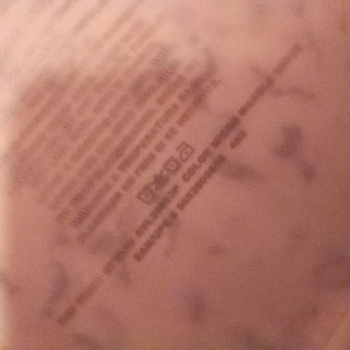 Picture 12 of 12