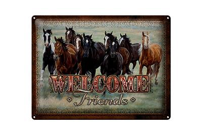 Blechschild Pferde 30x40 cm welcome friends Metall Deko Schild