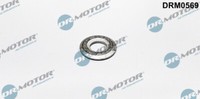 Dr. Motor Automobil DRM0569 Dichtungsring, Injektor FüR Ford, Mazda