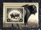 2026USA Forever American Bison Boston World Stamp Show - Single Stamp  mint
