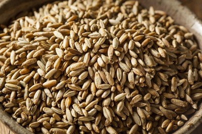  25 kg Roggen ganz Körner Lebensmittelqualität ungemahlen