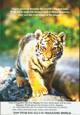 レアLIVING PROOF MAGAZINE OUR WORLD レアLIVING PROOF MAGAZINE OUR WORLD Living Proof | Grafflibrary