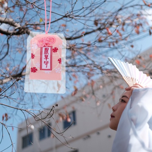 Friedliche Blessing -Tasche Reisen Kawaii Glücksbringer Omamori-Charme - 第 6/11 張圖片