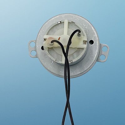 220V 110V 12V Automatic Incubator Accessories Low Speed Egg Turning Mini Motor