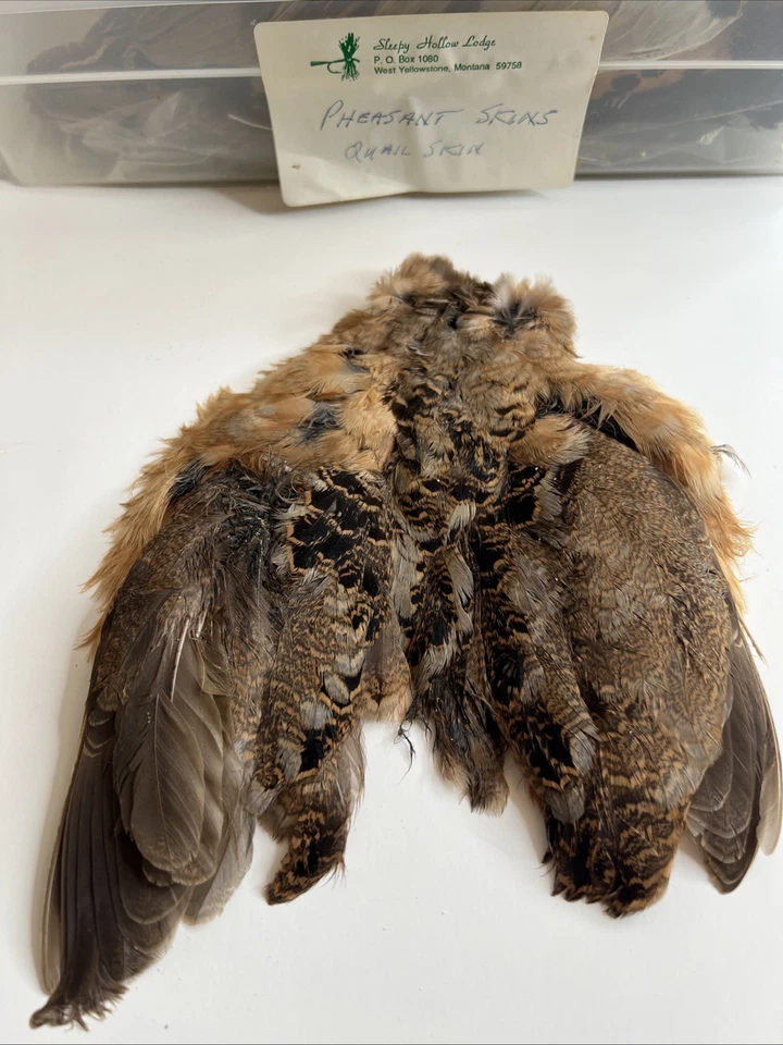 Lote De Colección De 4 Materiales Para Atar Moscas Y Plantillas Piel De Codorniz Faisán Hermosos Colores Foto 3 de 4