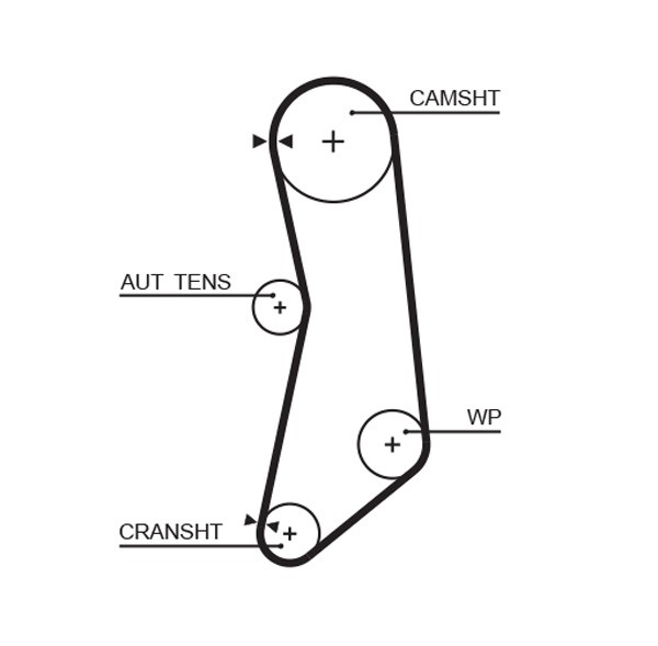 GATES 5626XS Timing Belt for FIAT