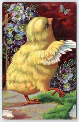 1907-10's EASTER GREETINGS BABY CHICK BUTTERFLY VICTORIAN EMBOSSED POSTCARD