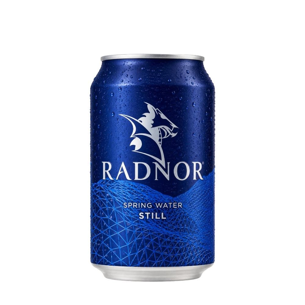 Radnor Hills Radnor Spring Water Still 330Ml Can (Pack Of 24) - Image 2
