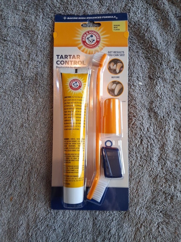Arm & Hammer Tartar Control Toothpaste And Brush New With Travel Holder