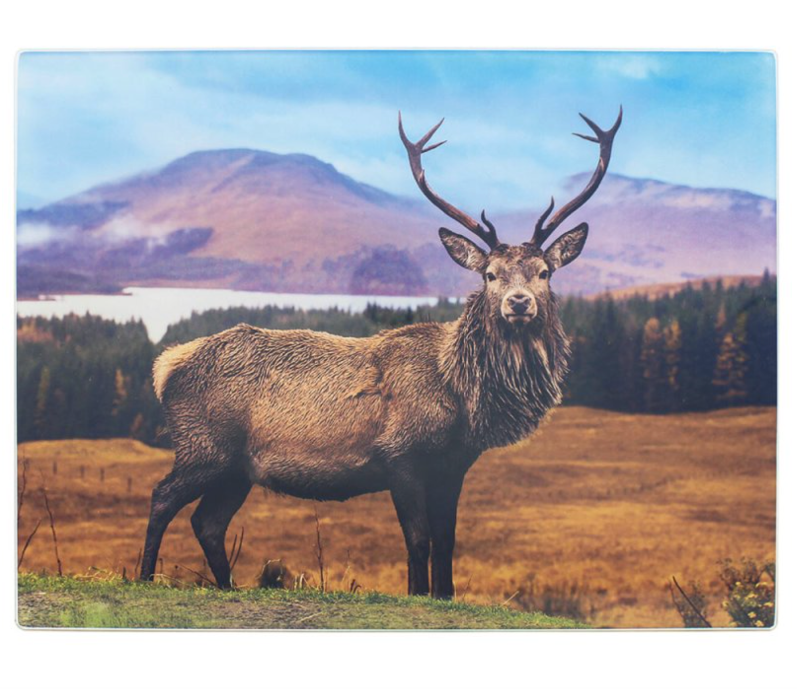 Highland Monarch Stag Deer Worktop Protector Saver Cutting Board Food Serving