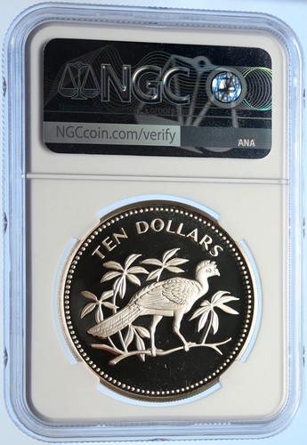 1974 BELIZE Avifauna Great Curasso BIRD OLD Proof Silver $10 Coin NGC i106409 - Picture 4 of 5