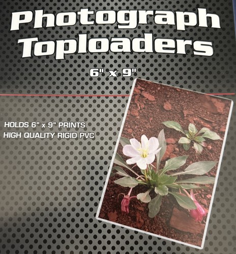 BCW Rigid Photograph Toploaders 6X9 (5) Count Total. Fast Shipping🚛 - Picture 2 of 2