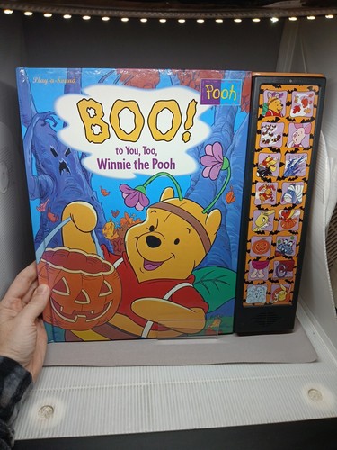 Vintage Play A Sound Boo to you too Winnie the Pooh Tested Working Halloween