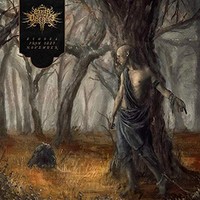 Fires In The Distanc - Echoes From Deep November - Cd - G1398Z