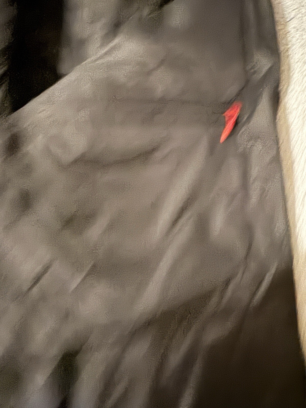 Picture 6 of 6