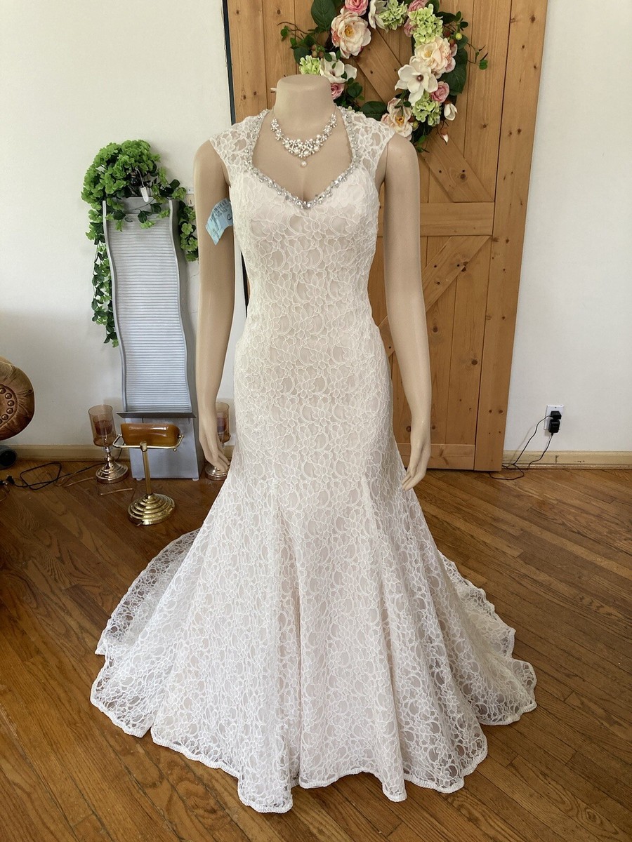 white vs ivory vs champagne wedding dress Ivory vs White Wedding Dress , Comment BOOK to find your dream wedding dress! , #bestforbride #2026bride #weddingdressinspo