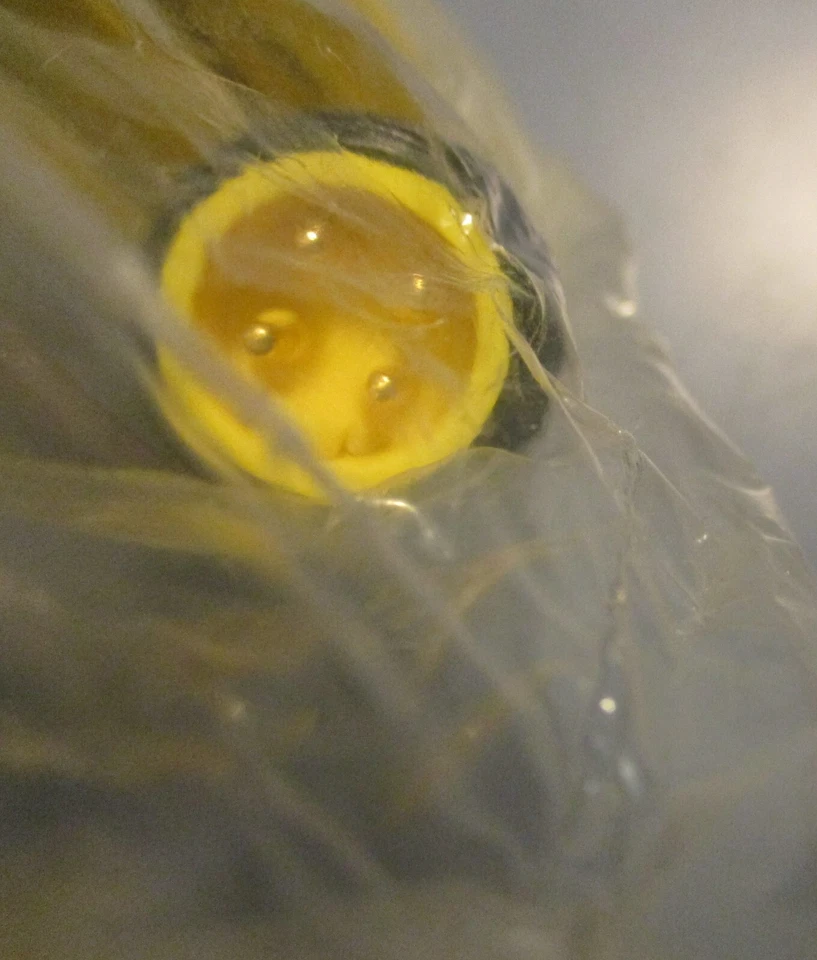 Juego de 5 cables de conectividad Molex 1300100865 Brad 114030K12M020 2 metros de largo Foto 4 de 4