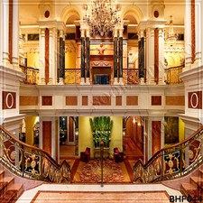 Indoor 10'x10' Computer/digital painted Scenic Photo Background Backdrop BHF614