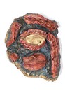 Bild 5 von 5