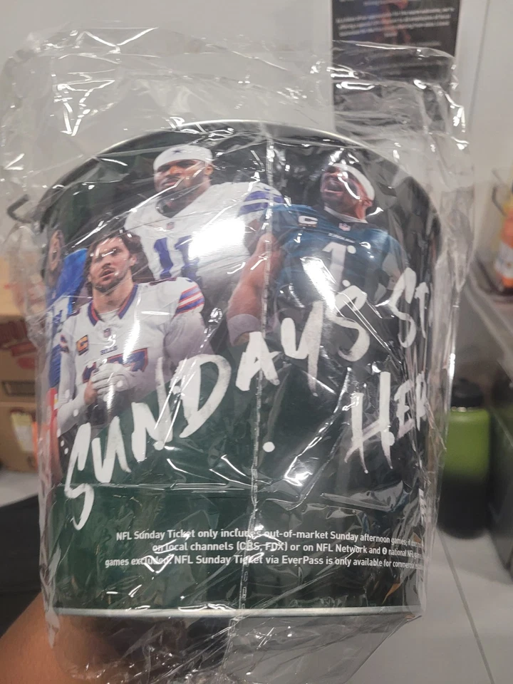 Boleto domingo NFL 2025 (CUBO CON MONTAÑA RUSA) Foto 3 de 4