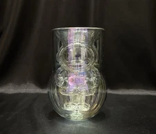Dragon Glassware~Iridescent Double Wall Glass~NASA Astronaut~Drinking Glass