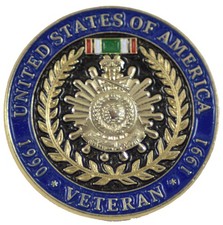 Operation Desert Storm Lieration of Kuwait Pin