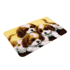 Latch Hook Rug Kit Embroidery Package for Women Men -