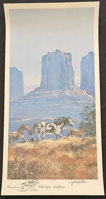 Wild Horses Wild Canyon Hank Richter Print Signed Numbered