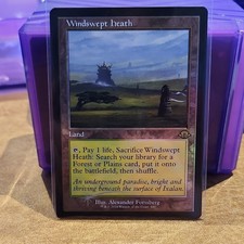 Magic: The Gathering Windswept Heath Land Foil Retro Frame