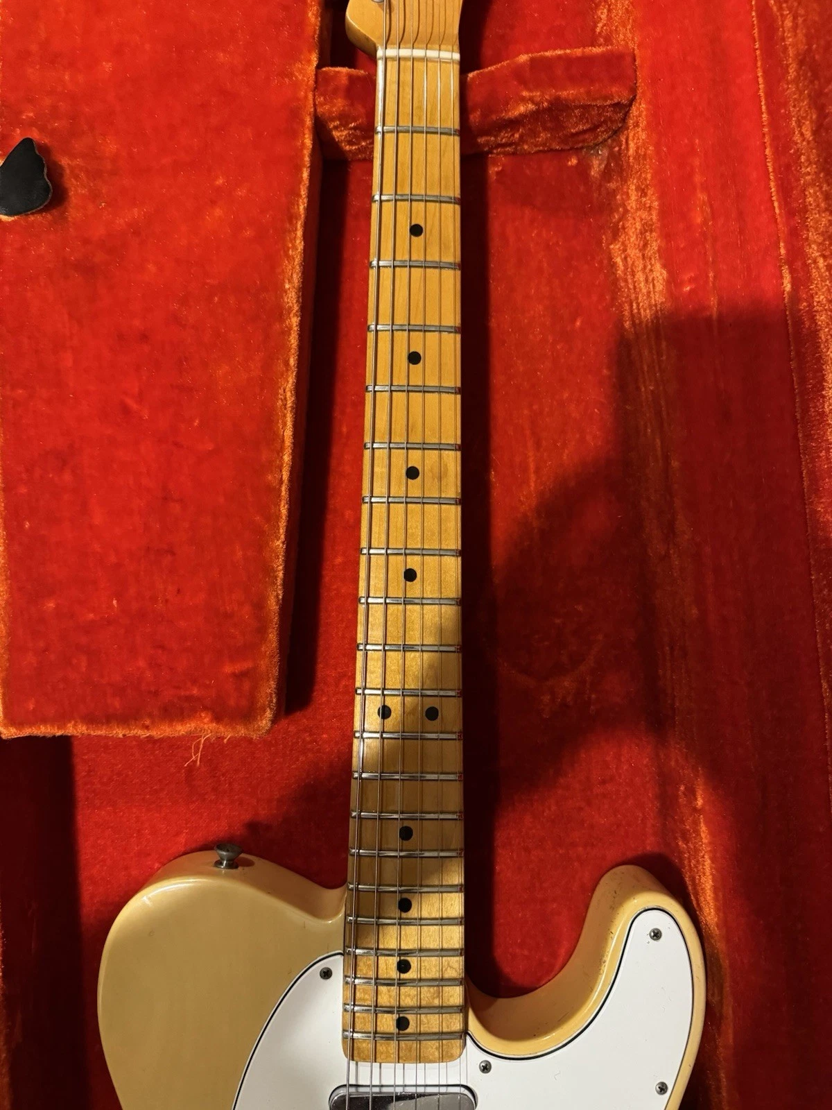 Picture 6 of 14