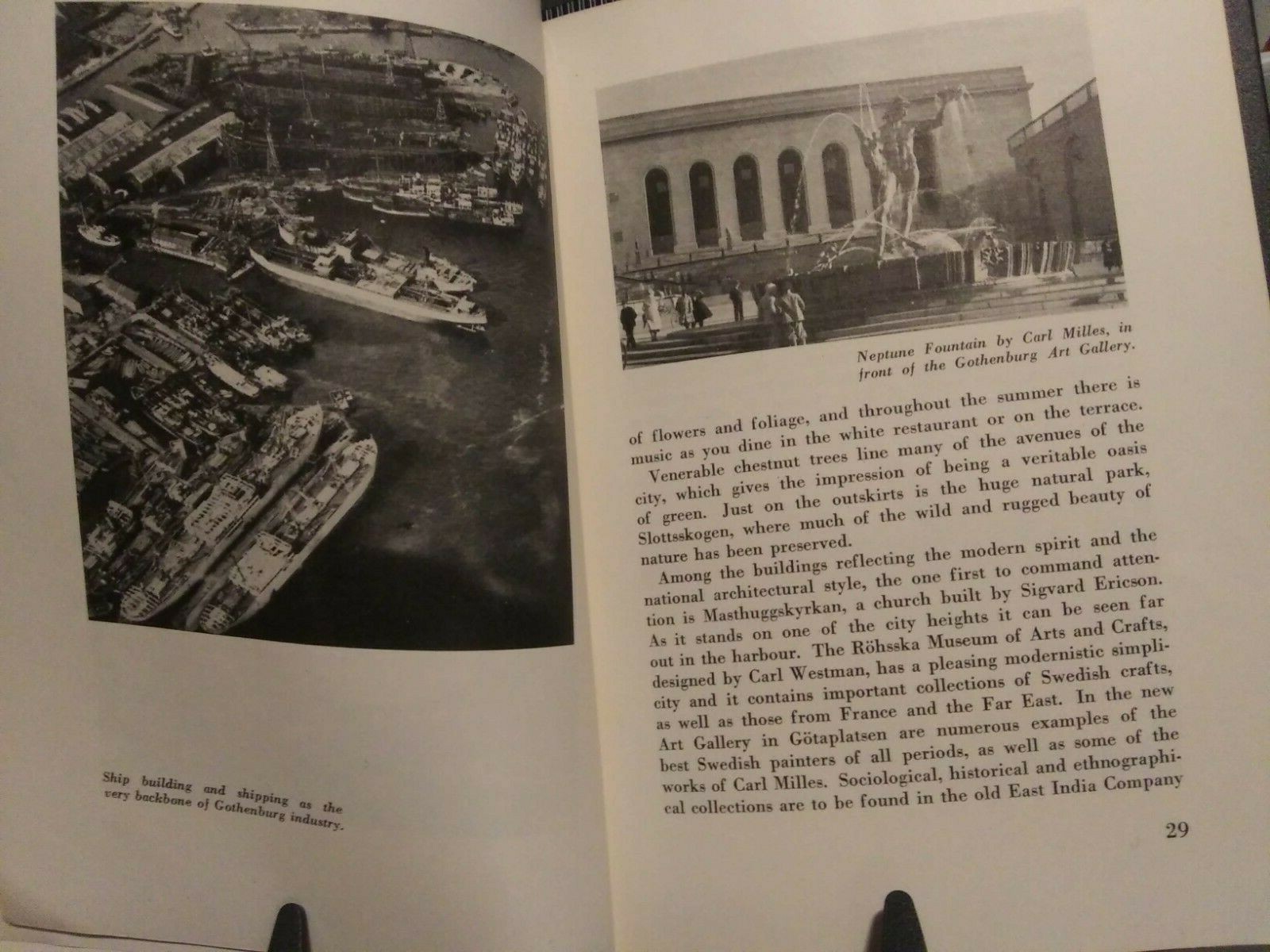 Picture 7 of 7
