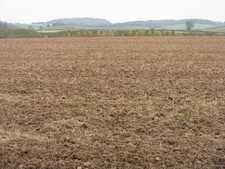 Photo A3 Looking across to Eden Old Nenthorn The yellowing tree tops are c2011