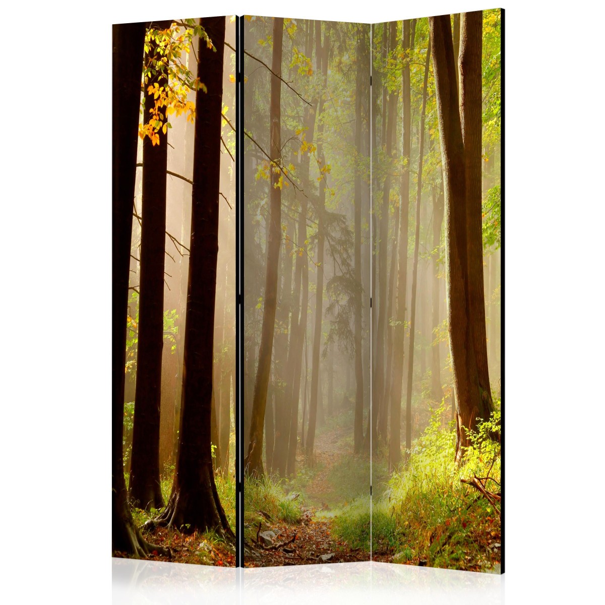 Paravent 3 volets Mysterious Forest Path cloison amovible decorative