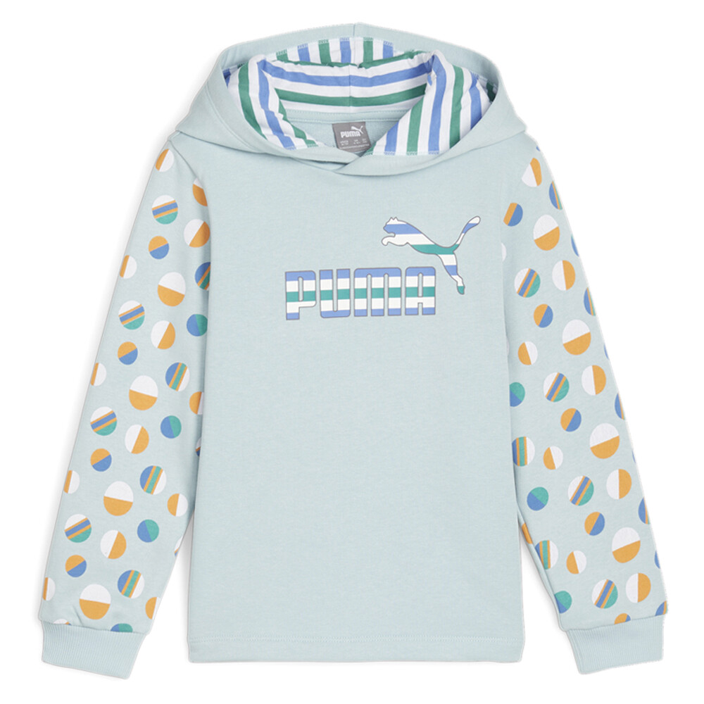 Puma Essential Summer Camp Пуловер с капюшоном для маленьких мальчиков Синяя повседневная верхняя одежда 67