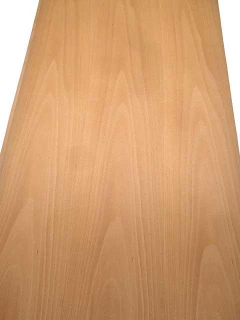 Chapa de haya madera chapa de haya reforzada con vellón 250x60-62cm